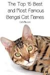 The Top 15 Best and Famous Bengal Cat Names - CatVills