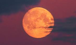 We're in for an emotional ride. Pink Supermoon 2020 When Is The Next Full Moon When Is The Pink Moon Science News Express Co Uk