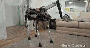 Toronto zoo, located at 361a old finch avenue, in scarborough, ontario, in canada, was founded in 1974 and the first elephant arrived in 1974. Robot Ornithopter Batbot Bat Bot Is The Biomimetic Flying Soft Robot We Deserve Techcrunch