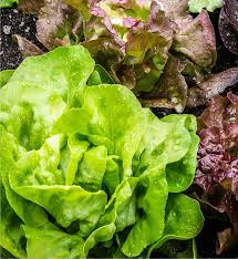 Ricchi di fibre, vitamine e sali minerali, hanno proprietà depuranti e diuretiche. Raccolto E Frutta E Verdura Di Stagione Ad Aprile