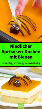 Die aprikosen abtropfen lassen und ebenfalls auf dem teig verteilen. Aprikosen Kuchen Mit Puddingcreme Ein Kuchen Rezept Susser Als Zucker Kuchen Rezepte Kuchen Und Torten Rezepte Kuchen