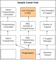79 Correct Information Technology Career Path Flow Chart