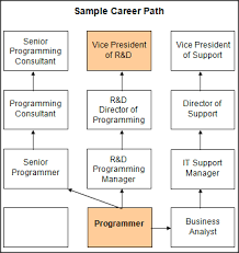 79 correct information technology career path flow chart