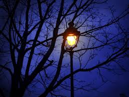 Http Timoelliott Com Photos Wp Content Uploads 2013 02 Streetlamp At Night Jpg Street Lamp Lamp Post Lights