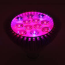 Reviews there are no reviews yet. Apollo Horticulture 12w Led Grow Light W Red Blue Led Spectrum For Indoor Plant Growing With More Apollo Horticulture Prices And Grow Lights Led Grow Lights Products