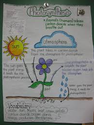 uses of water chart for school soil anchor chart for 3rd