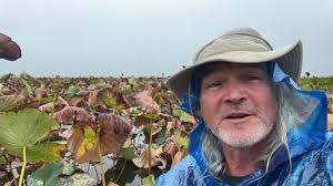 Shannon (Begg) Thomas