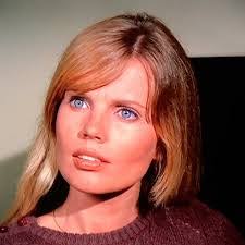 Keith Prentice's Instagram, Twitter & Facebook