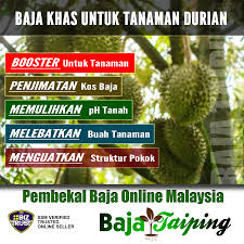 Guna baja organik sahaja pokok akan naik subur sepanjang masa. Cara Guna Baja Khas Pokok Durian