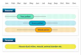 Allergy Season Allergy Calendar Dymista