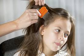 A swollen lymph node can be as small as the size of a pea and as large as the size of a cherry. Head Lice Scratching Below The Surface Urmc Newsroom