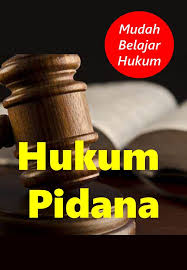 Hukum Pidana Hukum Hukum Pidana Pidana