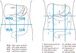 Maybe you would like to learn more about one of these? Clinical Examination Helen Pickard Anesthesia Key