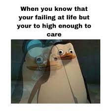 Kickass Memes Memes When You Know Life