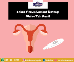 Hal ini kerana haid yang tidak teratur menandakan anda mengalami ovulasi secara tidak teratur atau yang lebih kronik, langsung tiada ovulasi. Sebab Period Lambat Datang Walau Tak Hamil Lulubae