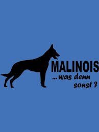 Purebreds, mixes, breed lovers, dog lovers and animal lovers are welcomed. Malinois T Shirt Herren Achdudickerhund