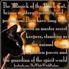 Black Cat Symbolism Spirit World Spiritual Meaning Magickal Totem Halloween Samhain Witch Witchy Wicca Knowle Black Cat Magick Animal Spirit Guides