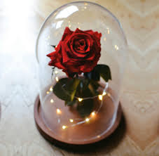 It also makes the rose the picking scene make a little more sense, as well as being in character for this version of the beast. Rose De La Belle Et La Bete Decouvrez Cette Fleur Unique En Son Genre