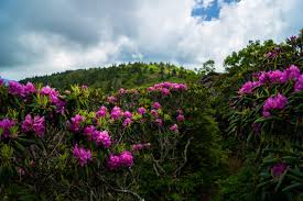 12 Must-Do Backpacking Adventures in North Carolina