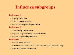 (photo by diggity marketing on. The Influenza Parainfluenza Viruses Ppt Download