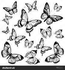 Schmetterlinge Design Check More At Http 13tattoo Vasepin Site Schmetterlinge Design Butterfly Drawing Butterfly Tattoo Butterfly Tattoo Designs