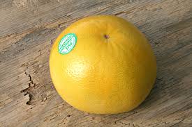 Image result for Grapefruit