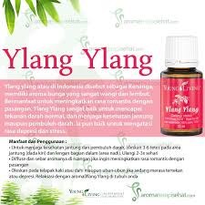 Ylang Ylang Essential Oil Minyak Esensial Aroma Bunga Bahan Alami