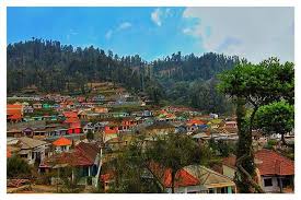 Lantaran danau ini adalah tempat transit untuk mereka yang. Ngadiwono Village Home Facebook