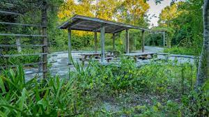 Natural beauty is on display at key largo undersea park, lower sound point, and upper sound point. Dagny Johnson Key Largo Hammock Botanical State Park Key Largo Vacation Rentals Villa Rentals More Vrbo