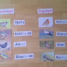 Heute Im Schulgartenunterricht Wir Haben Die Vogel Benannt Sie Den Zug Oder Standvogeln Zugeordnet Und Kunstunterricht Grundschule Schule Yoga Fur Kinder