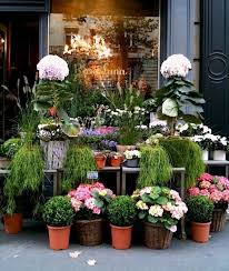 Gorgeous Shop Front Floral Shop Flower Shop Beautiful Flowers