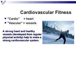 Cardiovascular endurance testing measures how efficiently the heart and lungs work together to supply oxygen and energy to the body during physical activity. Cardiovascular Endurance