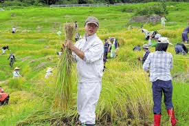 被災し少女の一家に助けられた１９歳、避難の車中で体を触る不同意わいせつ容疑 : 読売新聞