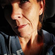 What can be done to stop bugs from eating sunflower leaves?