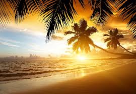 We have a massive amount of hd images that will make your computer or smartphone look absolutely fresh. Hd Wallpaper Two Palm Trees Sand Sea Beach Sunset Tropics Shore Summer Wallpaper Flare