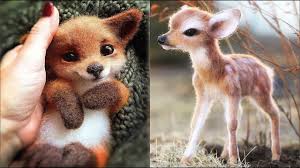 Cutest Baby Animals Videos Compilation Cute Moment Of The Animals Ar Animals Youtube