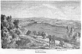 Image result for Keetia gueinzii