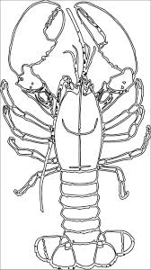 Some of the coloring page names are lobster with big claws coloring coloring, giant sea lobster click on the coloring page to open in a new window and print. Free Printable Lobster Coloring Pages Coloringbay