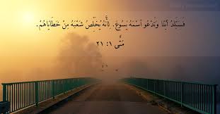 17 آيات الكتاب المقدس عن عيد الميلاد Dailyverses Net