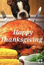 We did not find results for: Pin By Mary Brasch On Thanksgiving Happy Thanksgiving Boston Terrier Thanksgiving