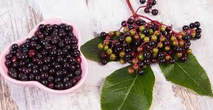 In un contenitore ermetico di vetro mettete i fiori di sambuco e versateci sopra l'alcool per liquori a 95¤, chiudete il contenitore di vetro e mettetelo al riparo dalla luce per 10 giorni. Sambuco L Antinfiammatorio Naturale Che Cura Le Vie Respiratorie Riza It