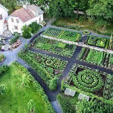 There's purple, speckled or yellow snap beans, rainbow carrots, easter egg radishes or even purple cauliflower or peas. 36 Amazing Ideas For Growing A Vegetable Garden In Your Backyard