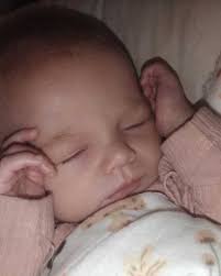 Zaidi Kay Malisa Koops Obituary December 6, 2024