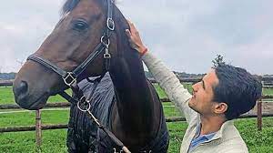 Check spelling or type a new query. Equestrian Fouaad Mirza Changes Horse Picks Seigneur Medicott For Tokyo Olympics Olympics 365newslive