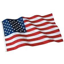 Polyester American Flags – Patriarch®