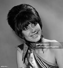 41 Fay Fife Stock Photos, High-Res Pictures, and Images