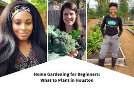 Find out what to do this month with our gardeners' calendar. Home Gardening For Beginners What To Plant In Houston Chron Shopping