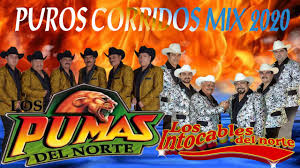 Price new from used from audio cd please retry $902.81. Los Pumas Del Norte Los Intocables Del Norte Mix 2021 Puros Corridos Mix Youtube