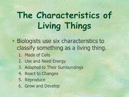 Biologists Use Six Characteristics To Classify Something As A Living Thing 1 Characteristics Of Living Things Science Cells Classifying Living Things Activity