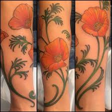 Abstract nature portrait abstract nature portrait lion & giraffes lion & giraffes whale & boat Kim Saigh Memoir Tattoo